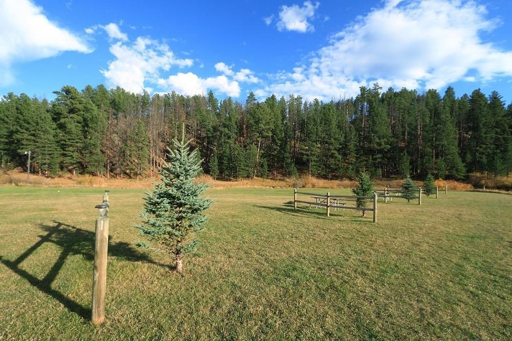 Black Elk Resort هيل سيتي الغرفة الصورة